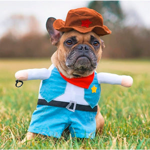 Disfraz Para Mascotas De Vaquero